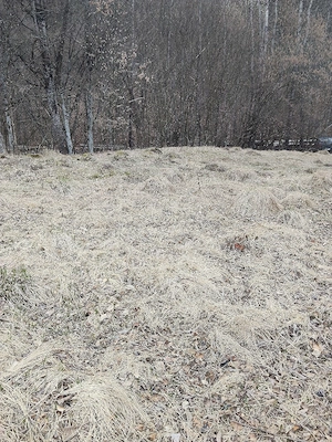 Teren extravilan in comuna Musatesti, sat Valea lui Maș , jud Arges  - imagine 5