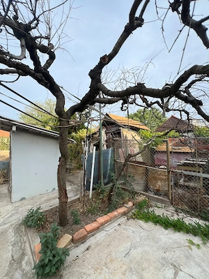 Vindem casa 3 camere, teren 521 mp, Oradea Oncea   99.000  Comision 0% - imagine 6