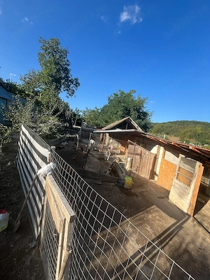 Casa de 1000m2 in Hoisesti Neamt - imagine 10