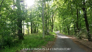 ZONA SUPERBA - TERENURI DE VANZARE - imagine 12