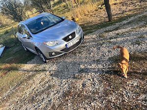 Vand Seat Ibiza - imagine 7