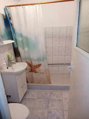 Disponibil la inchiriere ap 2cam,50 mp  Centru ,-Horea ,fac de litere,430 eur  - imagine 9