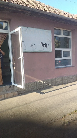 vand casa in Iosia Mestesugarilor