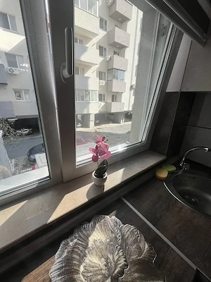 aparatorii patriei berceni boc nou cu parcare
