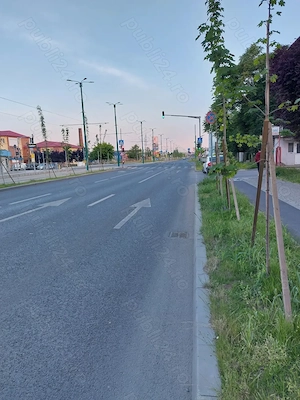 Calea Buziașului   Apartament cu 1 cameră de închiriat - imagine 6