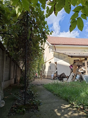 Casă de vânzare în Viișoara , Bistrița-Năsăud  - imagine 3