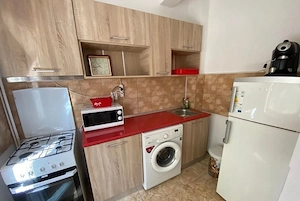 Apartament cu 1 camera de inchiriat in zona Aradului - imagine 3