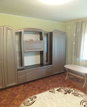 Apartament cu 1 camera de inchiriat in zona Aradului - imagine 2