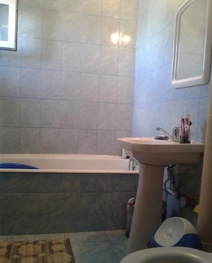 Apartament cu 1 camera de inchiriat in zona Aradului - imagine 4