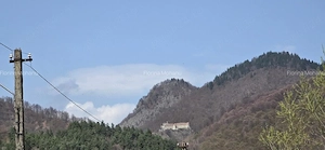 Teren montan intravilan 8.000 mp, Transfagarasan, Arefu| livadă, teren plat - imagine 4