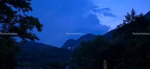 Teren montan intravilan 8.000 mp, Transfagarasan, Arefu| livadă, teren plat - imagine 8