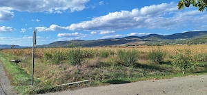 Teren in Coplean intravilan