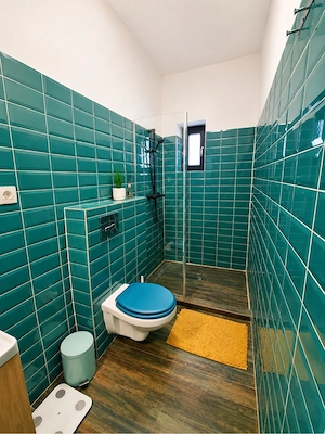 Casa individuala cu garaj Domnesti Ilfov - imagine 8