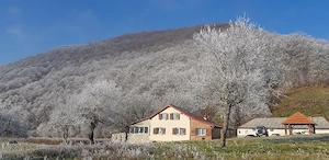 Cabana Revelion in Cheile Nerei