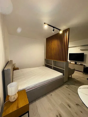Inchiriere apartament 1 camera D, FREYA HOME Apartments Bucium - imagine 2