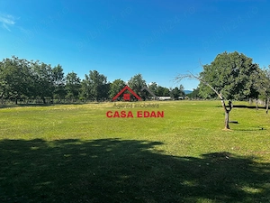 Teren intravilan in Campina--10.072mp--50e - imagine 13