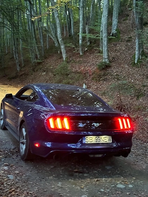 Ford Mustang model american, accept variante auto si imobiliare - imagine 8