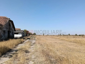 OPORTUNITATE DE INVESTIȚIE – PISCHIA, JUDEȚUL TIMIȘ - imagine 8