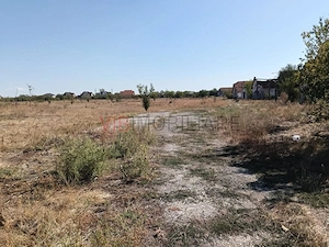 OPORTUNITATE DE INVESTIȚIE – PISCHIA, JUDEȚUL TIMIȘ - imagine 4