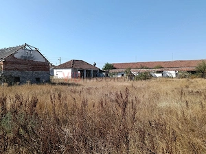 OPORTUNITATE DE INVESTIȚIE – PISCHIA, JUDEȚUL TIMIȘ - imagine 10