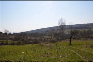 Teren Ramnicu valcea Str Macesului sub padure - 1200 mp deschidere 24 m - curent apa canal gaze  - imagine 2