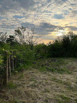 Teren 1.246 mp, Str. Traian – Vadu Anei | Aproape de lac și A2 - imagine 6