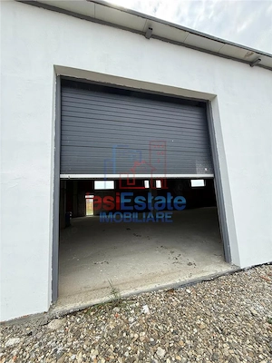 Hala productie - depozitare zona Letcani - imagine 3