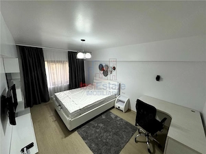 Apartament 1 camera Alexandru cel Bun