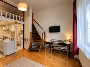 Garsoniera pretabil investitie REGIM HOTELIER, centrul istoric - imagine 3