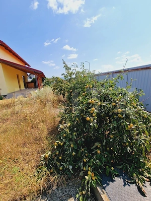 Casă 5 camere, Tărlungeni  - imagine 17