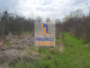 Teren cu casa locuibila, Stolnici, intravilan, 3200 mp - imagine 16