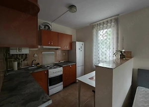 Apartament Grigorescu - Centrala proprie - Chirie Cluj Napoca Chirii Grigorescu Cluj - imagine 9