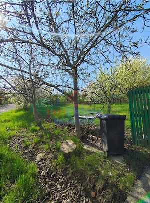 UAT Iasi - Trecatoarea Paun - ideal pentru casa - Bucium 750mp - imagine 3