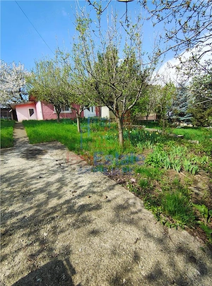 UAT Iasi - Trecatoarea Paun - ideal pentru casa - Bucium 750mp - imagine 7