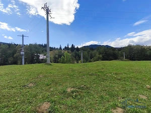 Teren 1102 mp Salatruc - Molid, com. Vama - imagine 3