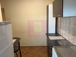 Apartament cu vedere panoramica Bd Decebal. - imagine 7