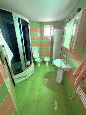55.000 euro, APARTAMENT,  tip mansarda pe 2 nivele SIDERURGISTILOR - imagine 20