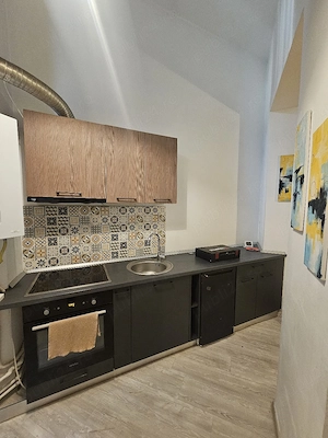 direct proprietar strada crișan  - imagine 3