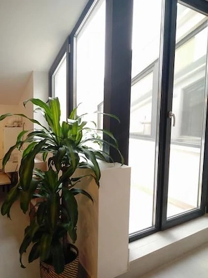 Închiriere 2 Camere Unirii, Centrală, Terasă, Petfriendly - imagine 3