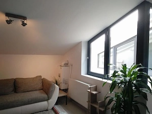 Închiriere 2 Camere Unirii, Centrală, Terasă, Petfriendly - imagine 8