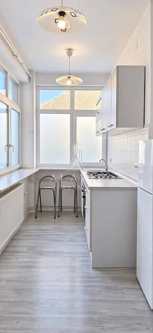 Apartament cu 2 camere, parter, zona Complexul Studentesc - imagine 4