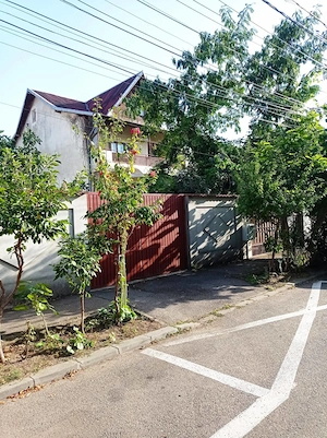 Casa de vanzare Parc Bazilescu