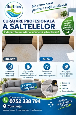 Ecoshine-Curatenia care se vede!