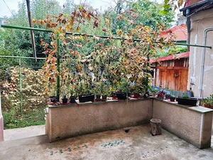 Închiriez locuință 1 cameră   zona Cașin Domenii, Sector 1 - imagine 10