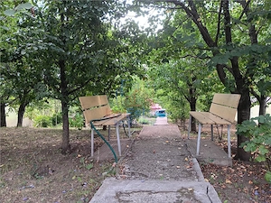 Rediu langa gradinita KiKi TEREN 500mp intravilan cu toate utilitatile