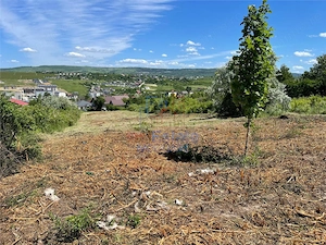 Ocazie! Visan TEREN 1616mp intravilan lot pt constructie casa - imagine 2