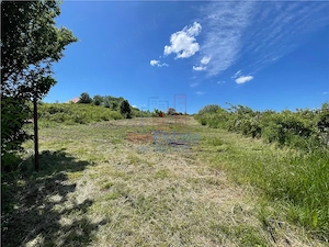 Ocazie! Visan TEREN 1616mp intravilan lot pt constructie casa