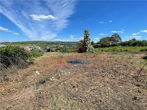 Ocazie! Visan TEREN 1616mp intravilan lot pt constructie casa - imagine 3
