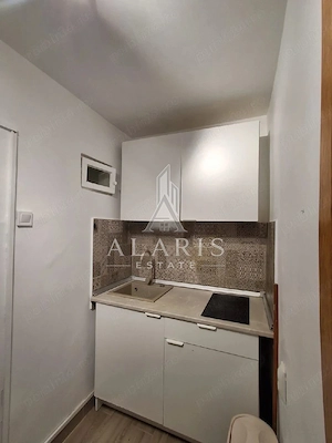 Apartament cu o cameră, zona Medicina, Take Ionescu - imagine 3