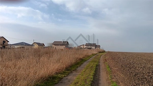 Aroneanu str Viisoarei TEREN 2 loturi x 650 mp. Intravilan cu utilitati zona construibila numai de c - imagine 5